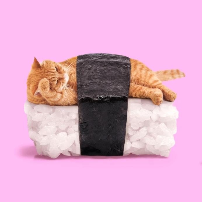 Paul Fuentes Turns Everyday Objects Into Surreal Pop Art Photo Collages