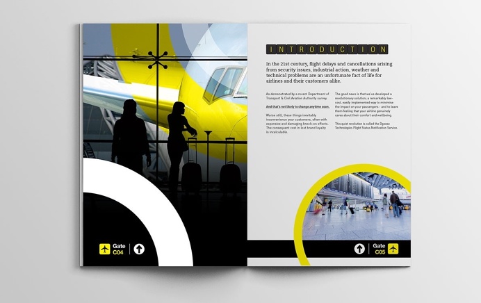 Dgoose Technologies Brochure #brochure #design #print