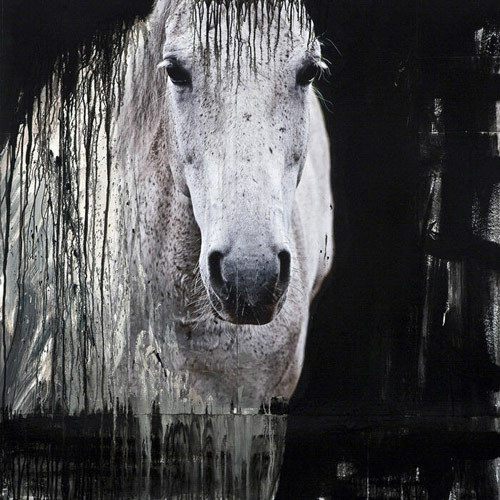 Andre Petterson #horse #painting