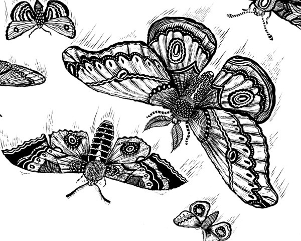 Like A Moth to A Flame on Behance #moth #drawing #illustration