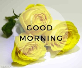 Beautiful Good Morning Photo Online