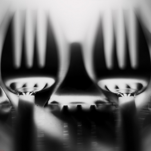 Fork on Photography Served #photography #fork