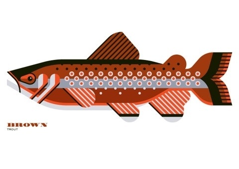 FFFFOUND! | Sage | Mint Design #design #mint #trout