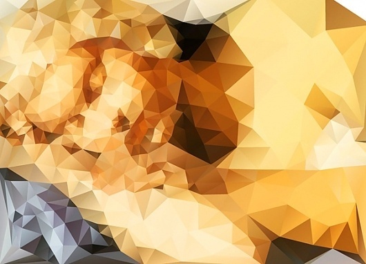 I ♥ ∆ on the Behance Network #delanay #minimalism #poly #triangulation #minimal #triangles #low