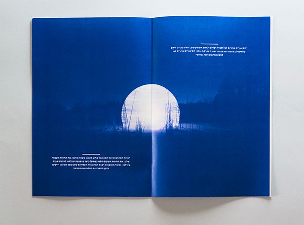 Hebrew Article Design on Student Show