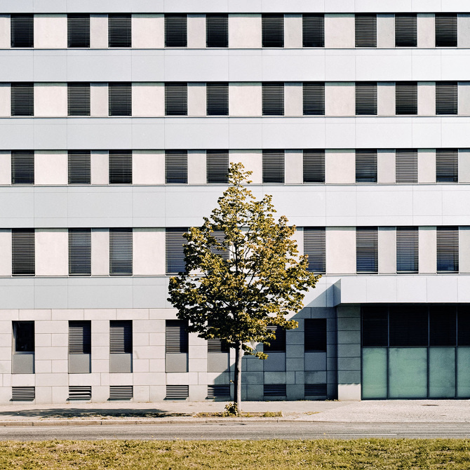 enricadenicola photography #photos #tree #photo #minimalism #building #photography #minimalist