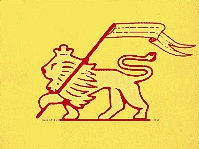 Lion #lion