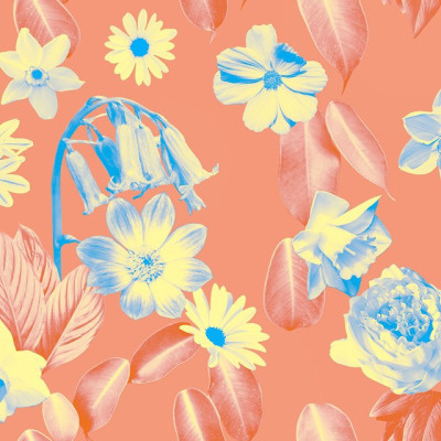 RHIANNAELLINGTONDESIGNS