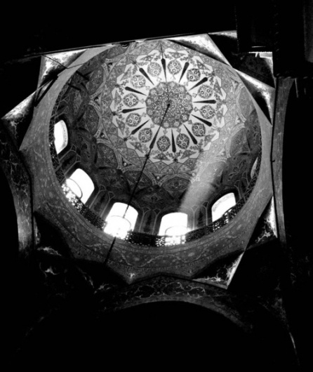 Leãozinho #architecture