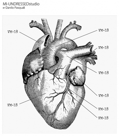 Untitled Document #heart