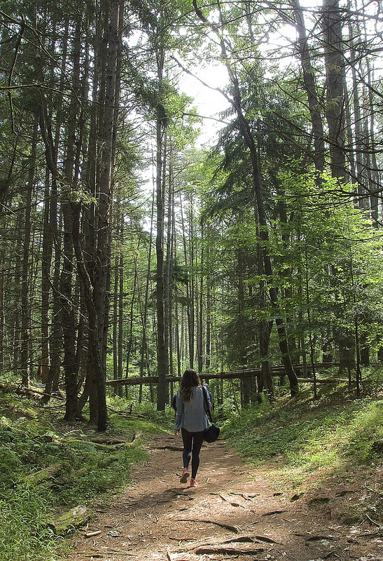 Lake George #14 #george #sigma #30mm #canon #camping #photography #lake #60d