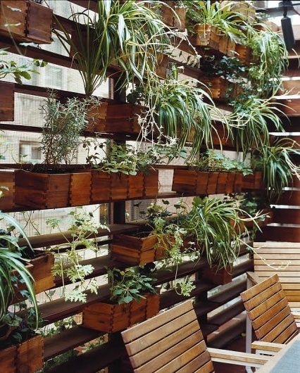 zizmor-house-exterior-plant-wall.jpg (JPEG Image, 645 × 801 pixels) #courtyards #plants #storage #architecture #landscapes #green
