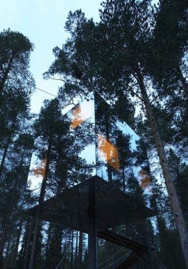 Thy Holy Ghost #architecture #glass #nature #tree #hotel
