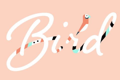 Shelby by Laura Worthington #pink #lettering #bird