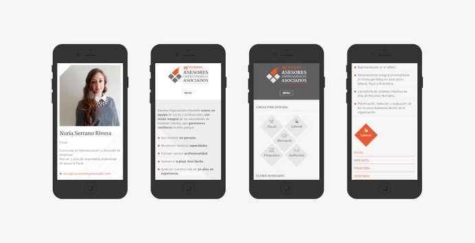 web design consultor