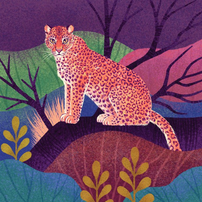 WWF – FANTASTIC FELINES
