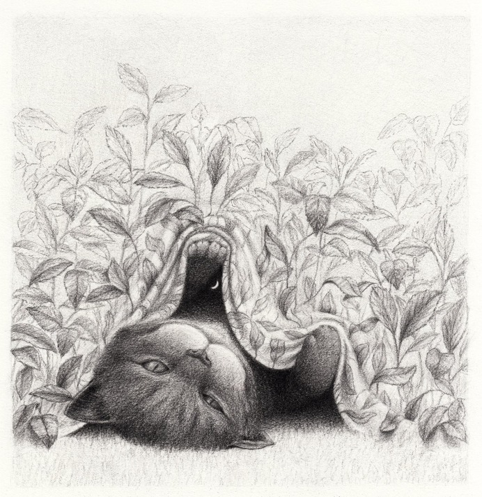 ilustracion en blanco y negro de gatos david alvarez