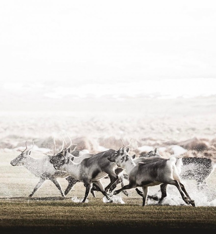 Amazing Instagrams of Iceland by Gunnar Freyr Gunnarsson