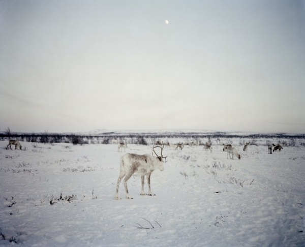 Photographer Erika Larsen #inspiration #photography