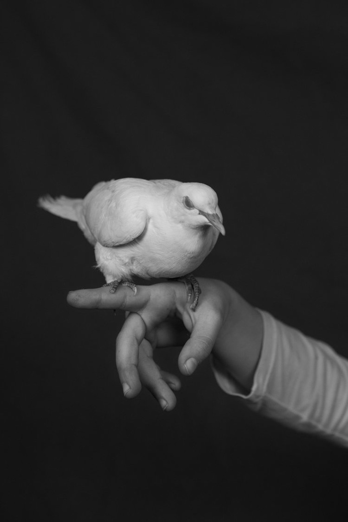 Photo: © Sara Palmieri