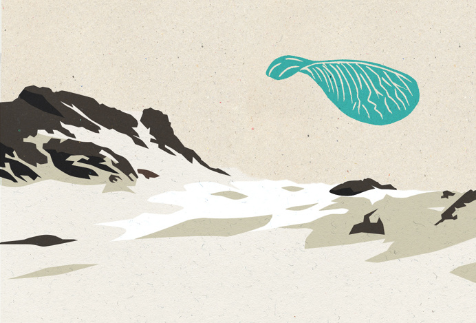 illustration, mixed media, digital drawing and linocut, landscape, propeller blade, maple seed