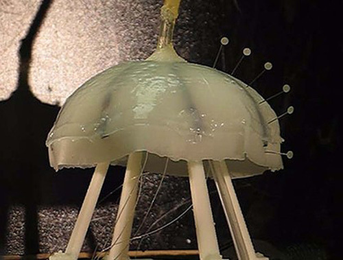 Robojelly #tech #amazing #modern #innovation #design #futuristic #gadget #ideas #craft #illustration #industrial #concept #art #cool