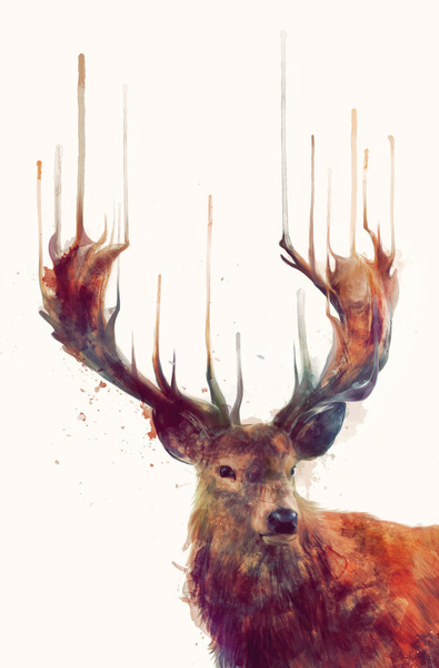 creative, art, design, inspiration, illustration, watercolor,