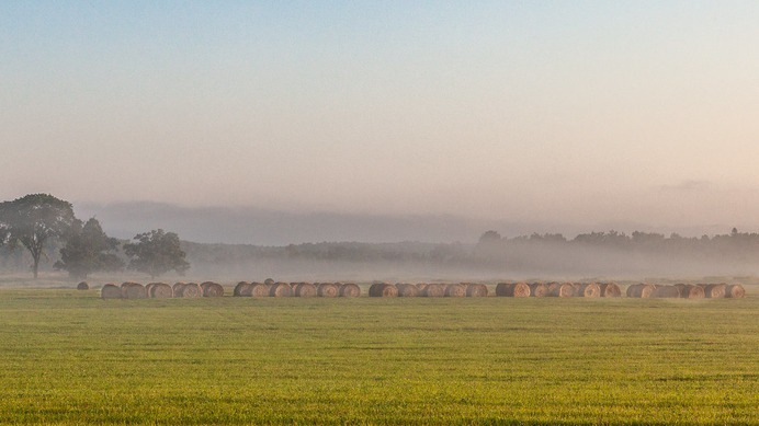 Morning Ground Fog