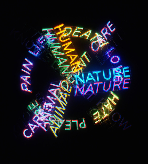 Bruce Nauman | PICDIT