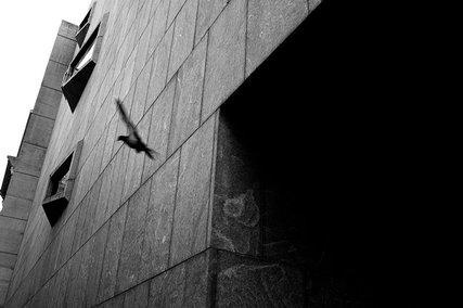a f a s i a #architecture