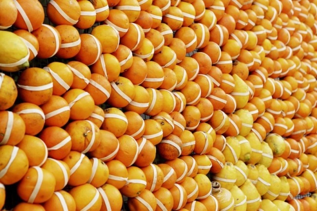 Fruits Lemon Orange