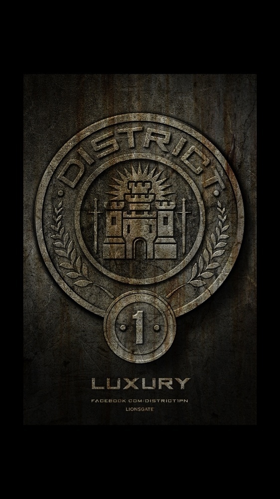 Ignition - The Hunger Games #stones #seal #illustration #huger #games