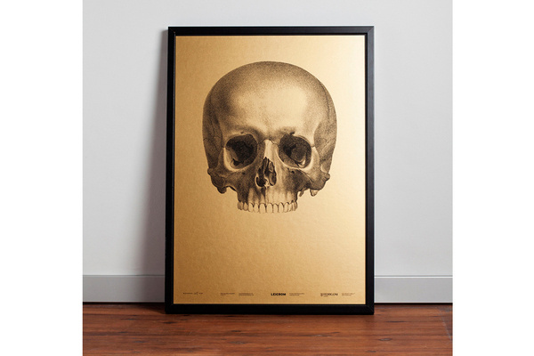 1i.jpg #gold #print #poster #skull