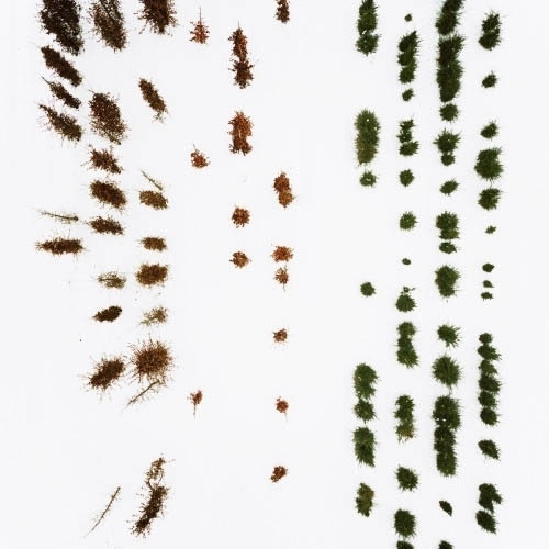 BLDGBLOG: On the Grid #trees #photo #aerial
