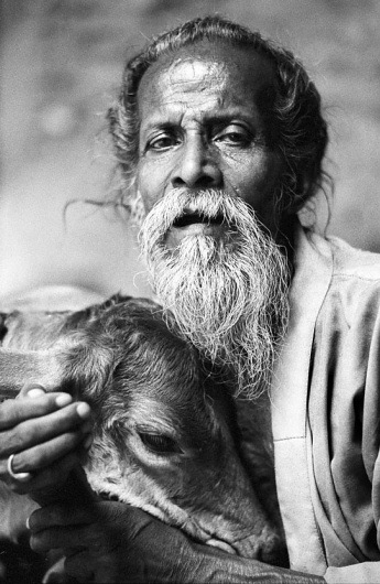 http://gallery.lfi-online.de/gallery//displayimage.php?pid=20662&categorized #potrait #human #man #face #animal