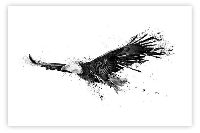 alcalay. art director & digital designer #digital #art