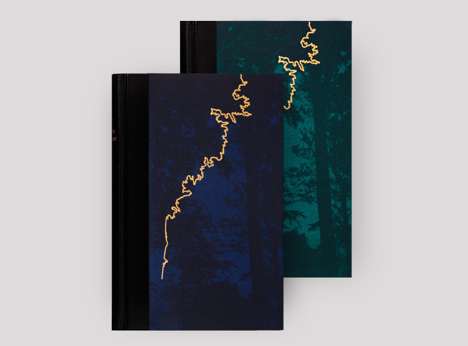 Om M&oslash;rke - Thomas Joakim #darkness #book #novel #cover #gold #forest