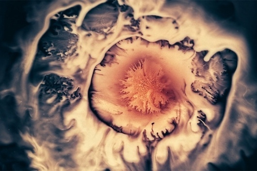 Category: Talents » Jonas Eriksson #brain #color #water