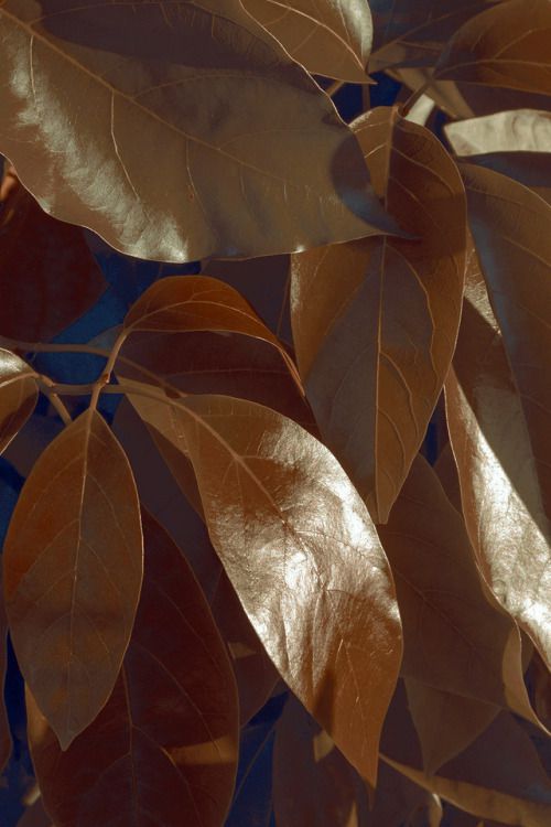 Photography by Xuebing DU