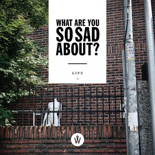 PHOTO QUOTE / February - PHOTO QUOTE #photoquote #quote #photo #design #graphic #alanderwong #typography