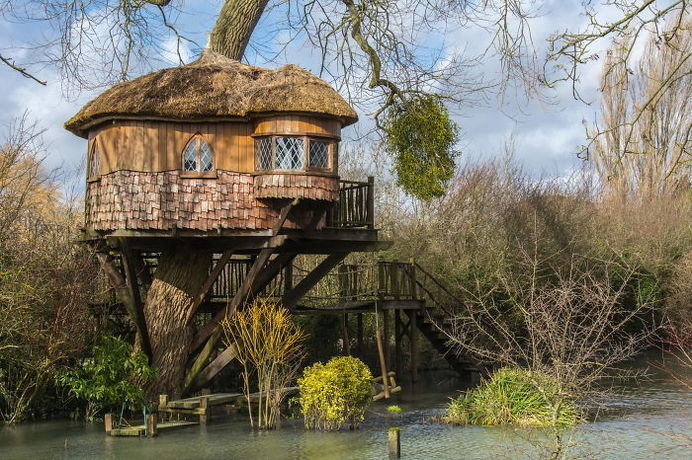 Treehouse In Amberley, Uk #treehouse