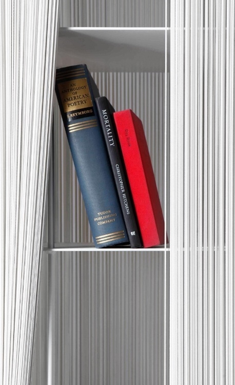 shelves,elastic,hidden,white,lines,books,design,furniture,sebastian
