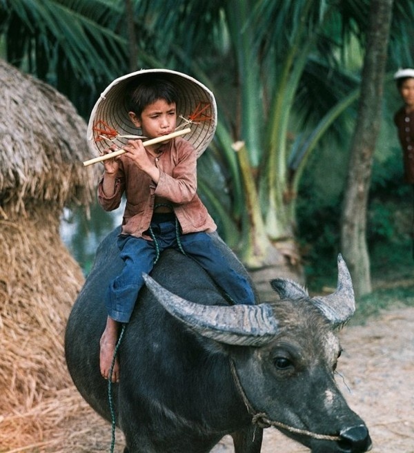 Photography by Thomas Billhardt #inspration #photography #art