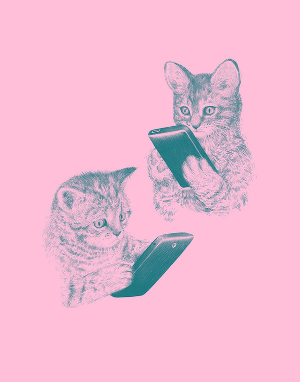 kittens texting