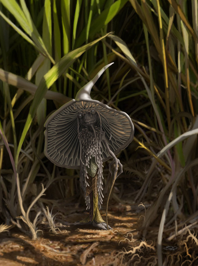 mushroom man #mushroom #man