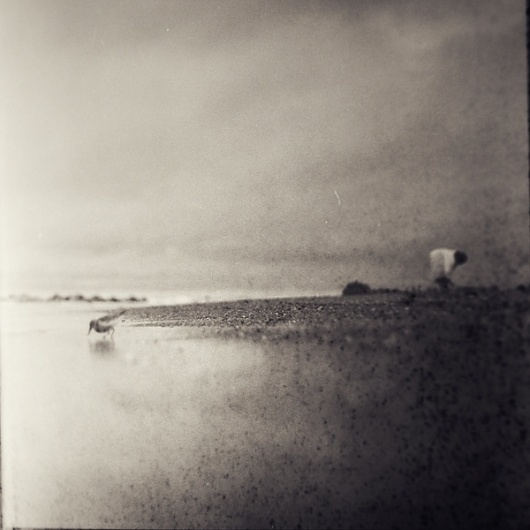A Bit, Artwork by Mindaugas Gabrenas #sea #woman #bird