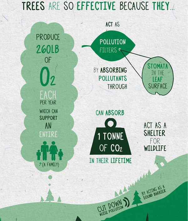 Sustainable Glasgow #information #infographic #design #sustainability #illustration #architecture #awareness #glasgow #layout #green