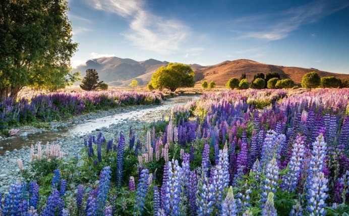 Winners of The International Garden Photographer of The Year