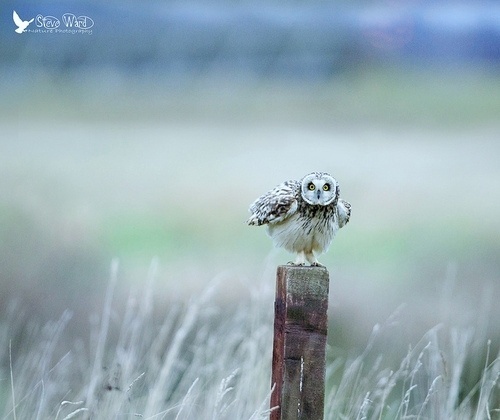 Photography Inspiration Blog #photography