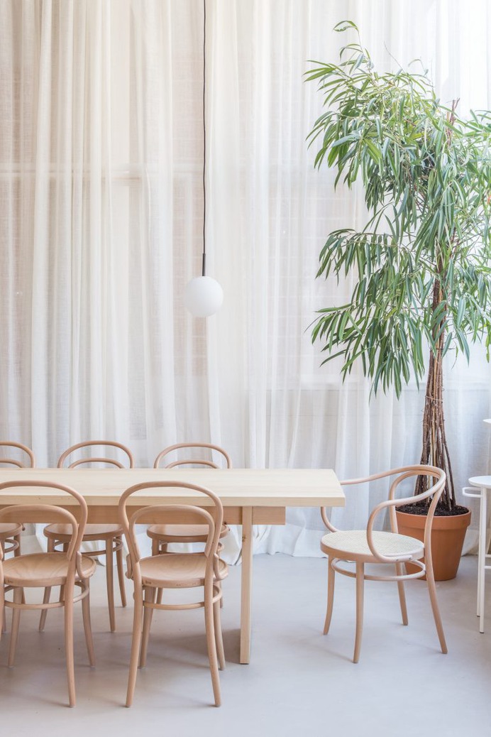 K&Co by Plantea Estudio